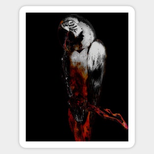 BEAUTIFUL SILVERED MACAW Sticker